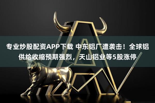 专业炒股配资APP下载 中东铝厂遭袭击！全球铝供给收缩预期强烈，天山铝业等5股涨停